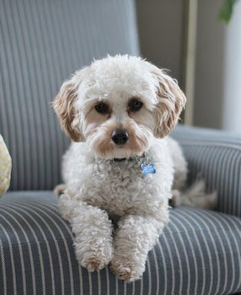 ✅Bonne pose. ❌ Le rétroéclairage cache les détails des yeux et du visage.
