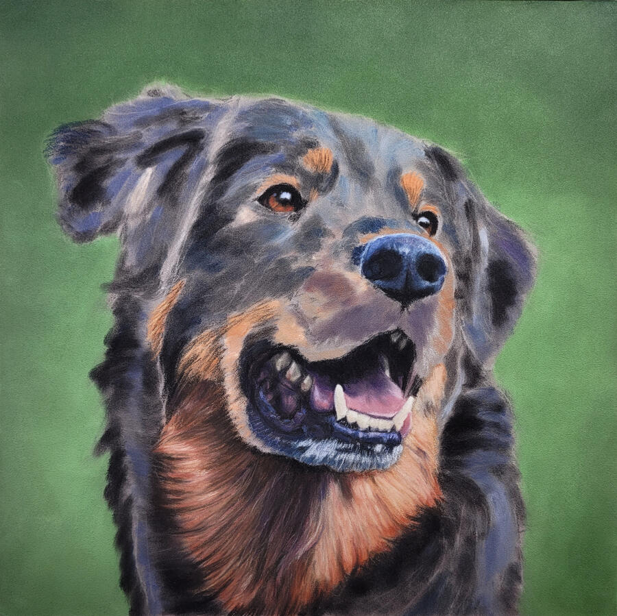 Dog sketch with rendered mouth and fur.