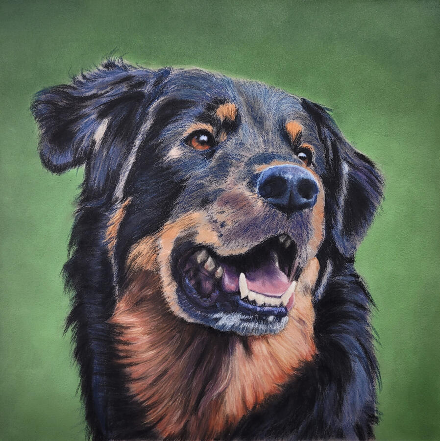 Dog sketch almost fully rendered.