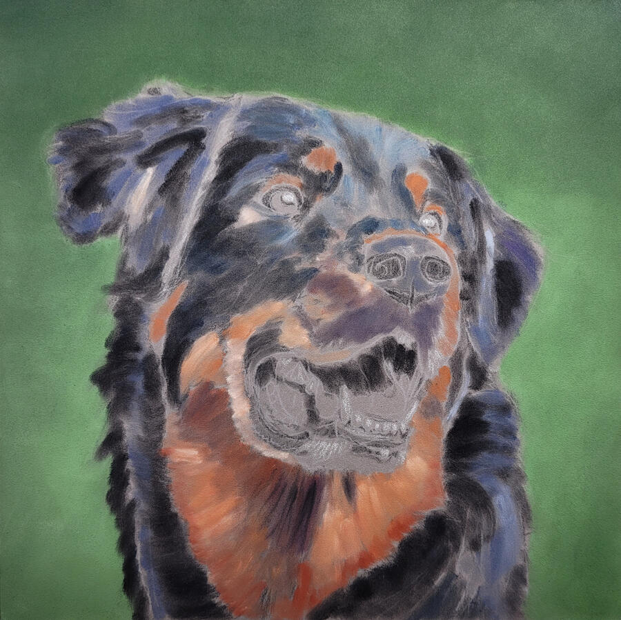 Sketch of a dog with underpainting done.