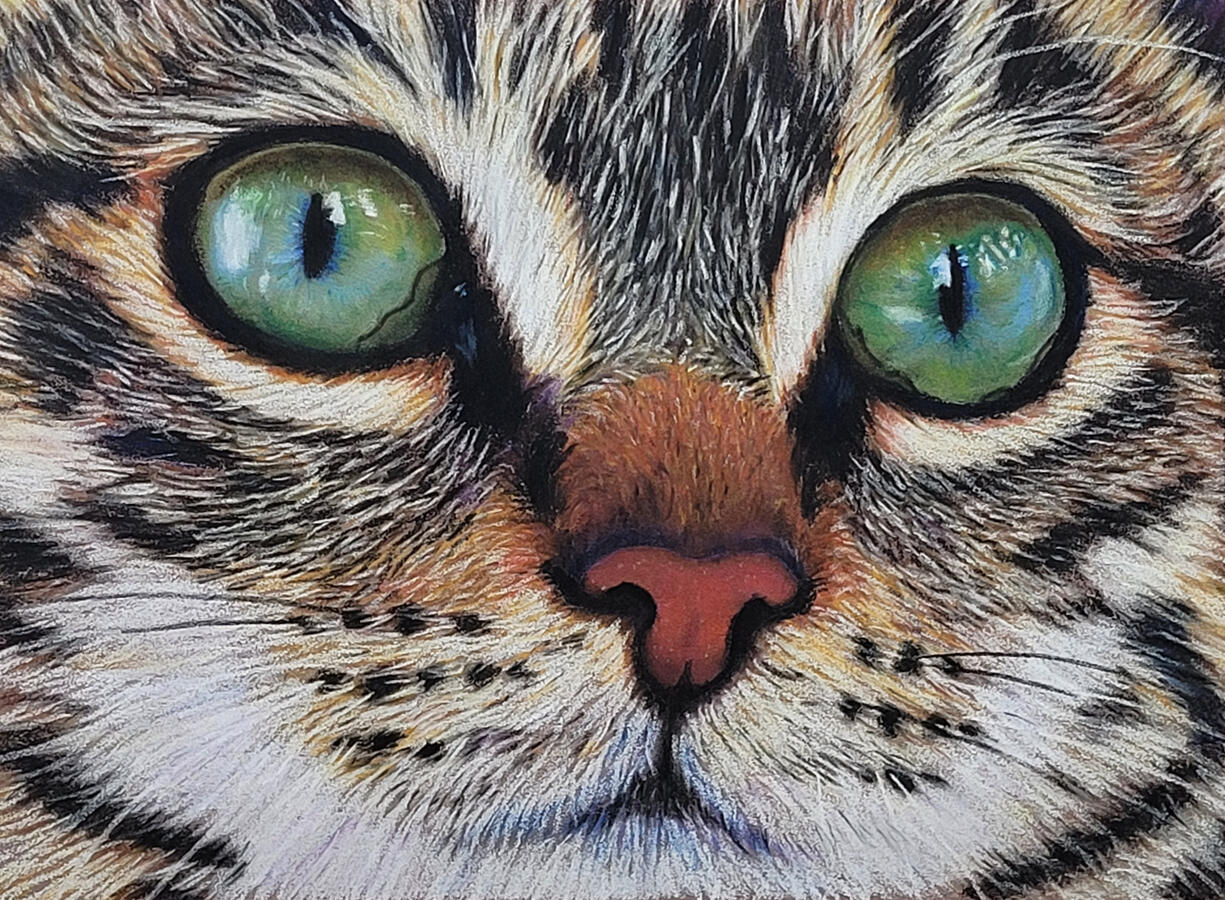 Close up of a tabby cat's face.