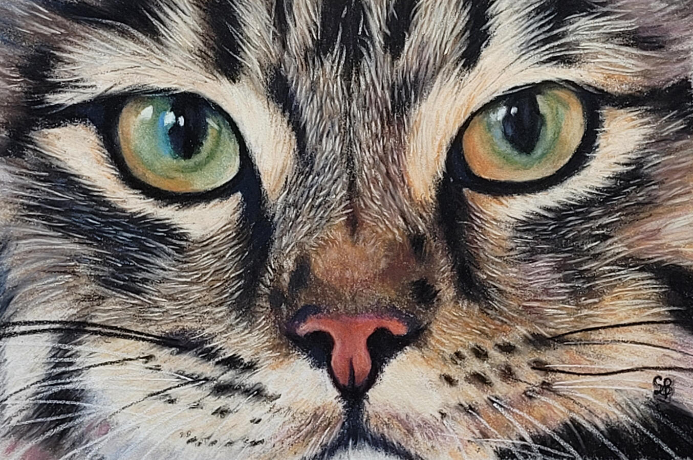 Close up of a cat's face.