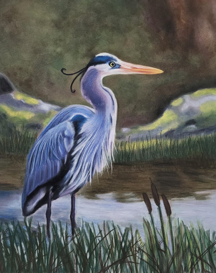 Painting of a great blue heron.