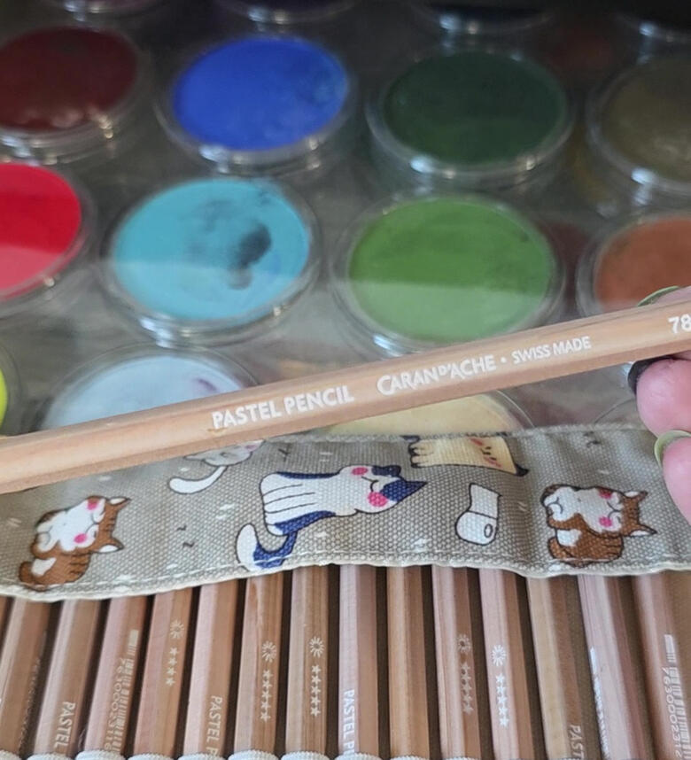 Pan pastels and pencils.